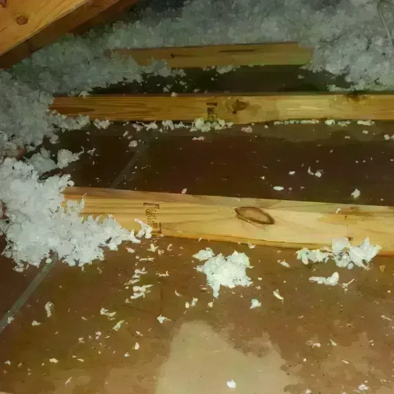 Attic Water Damage in San Saba, TX